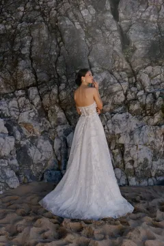 IMG_7059-scaled IMG_7059-scaled