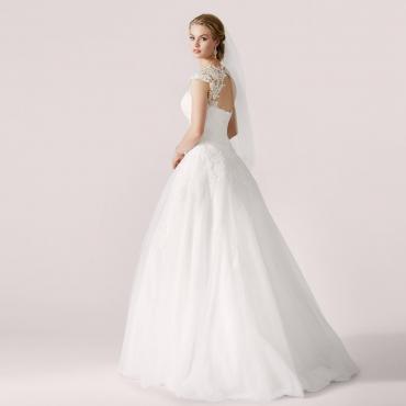Lilly 3913