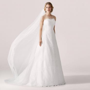 Lilly 3926